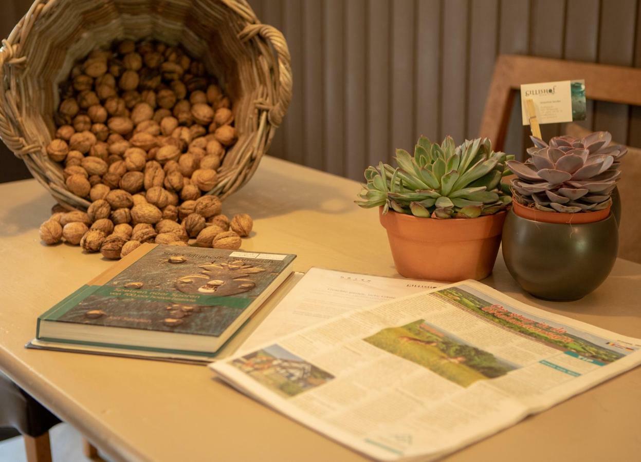 Vakantiepark Homes Gillishof Simpelveld